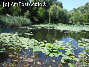 [P11] București - Parcul Circului Metropolitan. Lacul. » foto by iulianic
 - 
<span class="allrVoted glyphicon glyphicon-heart hidden" id="av1316568"></span>
<a class="m-l-10 hidden" id="sv1316568" onclick="voting_Foto_DelVot(,1316568,11447)" role="button">șterge vot <span class="glyphicon glyphicon-remove"></span></a>
<a id="v91316568" class=" c-red"  onclick="voting_Foto_SetVot(1316568)" role="button"><span class="glyphicon glyphicon-heart-empty"></span> <b>LIKE</b> = Votează poza</a> <img class="hidden"  id="f1316568W9" src="/imagini/loader.gif" border="0" /><span class="AjErrMes hidden" id="e1316568ErM"></span>