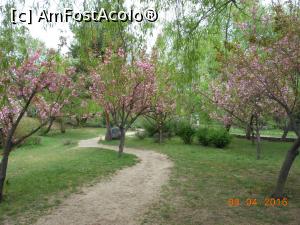 [P35] București - Grădina japoneză din Herăstrău. O cărare șerpuită.  » foto by iulianic
 - 
<span class="allrVoted glyphicon glyphicon-heart hidden" id="av728491"></span>
<a class="m-l-10 hidden" id="sv728491" onclick="voting_Foto_DelVot(,728491,11447)" role="button">șterge vot <span class="glyphicon glyphicon-remove"></span></a>
<a id="v9728491" class=" c-red"  onclick="voting_Foto_SetVot(728491)" role="button"><span class="glyphicon glyphicon-heart-empty"></span> <b>LIKE</b> = Votează poza</a> <img class="hidden"  id="f728491W9" src="/imagini/loader.gif" border="0" /><span class="AjErrMes hidden" id="e728491ErM"></span>