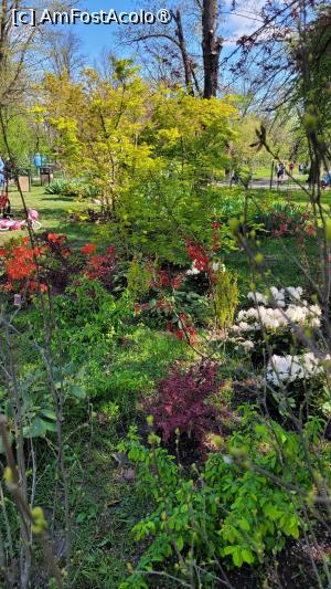 [P18] Grădina japoneză din Herastrău » foto by vlado2
 - 
<span class="allrVoted glyphicon glyphicon-heart hidden" id="av1525561"></span>
<a class="m-l-10 hidden" id="sv1525561" onclick="voting_Foto_DelVot(,1525561,11447)" role="button">șterge vot <span class="glyphicon glyphicon-remove"></span></a>
<a id="v91525561" class=" c-red"  onclick="voting_Foto_SetVot(1525561)" role="button"><span class="glyphicon glyphicon-heart-empty"></span> <b>LIKE</b> = Votează poza</a> <img class="hidden"  id="f1525561W9" src="/imagini/loader.gif" border="0" /><span class="AjErrMes hidden" id="e1525561ErM"></span>