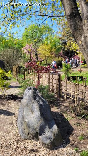 [P02] Grădina japoneză din Herastrău » foto by vlado2
 - 
<span class="allrVoted glyphicon glyphicon-heart hidden" id="av1525545"></span>
<a class="m-l-10 hidden" id="sv1525545" onclick="voting_Foto_DelVot(,1525545,11447)" role="button">șterge vot <span class="glyphicon glyphicon-remove"></span></a>
<a id="v91525545" class=" c-red"  onclick="voting_Foto_SetVot(1525545)" role="button"><span class="glyphicon glyphicon-heart-empty"></span> <b>LIKE</b> = Votează poza</a> <img class="hidden"  id="f1525545W9" src="/imagini/loader.gif" border="0" /><span class="AjErrMes hidden" id="e1525545ErM"></span>