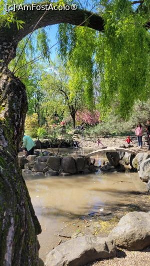 [P04] Grădina japoneză din Herastrău » foto by vlado2
 - 
<span class="allrVoted glyphicon glyphicon-heart hidden" id="av1525547"></span>
<a class="m-l-10 hidden" id="sv1525547" onclick="voting_Foto_DelVot(,1525547,11447)" role="button">șterge vot <span class="glyphicon glyphicon-remove"></span></a>
<a id="v91525547" class=" c-red"  onclick="voting_Foto_SetVot(1525547)" role="button"><span class="glyphicon glyphicon-heart-empty"></span> <b>LIKE</b> = Votează poza</a> <img class="hidden"  id="f1525547W9" src="/imagini/loader.gif" border="0" /><span class="AjErrMes hidden" id="e1525547ErM"></span>