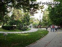 [P07] Bucuresti - Parcul Cismigiu - pe jos nu este mizerie, sunt doar petale de flori » foto by Diaura*
 - 
<span class="allrVoted glyphicon glyphicon-heart hidden" id="av316280"></span>
<a class="m-l-10 hidden" id="sv316280" onclick="voting_Foto_DelVot(,316280,11447)" role="button">șterge vot <span class="glyphicon glyphicon-remove"></span></a>
<a id="v9316280" class=" c-red"  onclick="voting_Foto_SetVot(316280)" role="button"><span class="glyphicon glyphicon-heart-empty"></span> <b>LIKE</b> = Votează poza</a> <img class="hidden"  id="f316280W9" src="/imagini/loader.gif" border="0" /><span class="AjErrMes hidden" id="e316280ErM"></span>