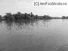 [P40]  -- <small>// FĂRĂ DESCRIERE</small> » foto by laurentiucapac
 - 
<span class="allrVoted glyphicon glyphicon-heart hidden" id="av106869"></span>
<a class="m-l-10 hidden" id="sv106869" onclick="voting_Foto_DelVot(,106869,11447)" role="button">șterge vot <span class="glyphicon glyphicon-remove"></span></a>
<a id="v9106869" class=" c-red"  onclick="voting_Foto_SetVot(106869)" role="button"><span class="glyphicon glyphicon-heart-empty"></span> <b>LIKE</b> = Votează poza</a> <img class="hidden"  id="f106869W9" src="/imagini/loader.gif" border="0" /><span class="AjErrMes hidden" id="e106869ErM"></span>