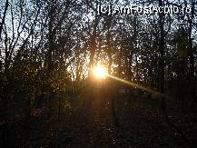 [P42]  -- <small>// FĂRĂ DESCRIERE</small> » foto by laurentiucapac
 - 
<span class="allrVoted glyphicon glyphicon-heart hidden" id="av106871"></span>
<a class="m-l-10 hidden" id="sv106871" onclick="voting_Foto_DelVot(,106871,11447)" role="button">șterge vot <span class="glyphicon glyphicon-remove"></span></a>
<a id="v9106871" class=" c-red"  onclick="voting_Foto_SetVot(106871)" role="button"><span class="glyphicon glyphicon-heart-empty"></span> <b>LIKE</b> = Votează poza</a> <img class="hidden"  id="f106871W9" src="/imagini/loader.gif" border="0" /><span class="AjErrMes hidden" id="e106871ErM"></span>