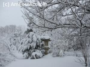 [P04] Parcul Herăstrău - Grădina japoneză (lampă de piatră).  » foto by tata123 🔱
 - 
<span class="allrVoted glyphicon glyphicon-heart hidden" id="av707148"></span>
<a class="m-l-10 hidden" id="sv707148" onclick="voting_Foto_DelVot(,707148,11447)" role="button">șterge vot <span class="glyphicon glyphicon-remove"></span></a>
<a id="v9707148" class=" c-red"  onclick="voting_Foto_SetVot(707148)" role="button"><span class="glyphicon glyphicon-heart-empty"></span> <b>LIKE</b> = Votează poza</a> <img class="hidden"  id="f707148W9" src="/imagini/loader.gif" border="0" /><span class="AjErrMes hidden" id="e707148ErM"></span>