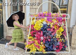 [P10]  -- <small>// FĂRĂ DESCRIERE</small> » foto by geani anto
 - 
<span class="allrVoted glyphicon glyphicon-heart hidden" id="av1523509"></span>
<a class="m-l-10 hidden" id="sv1523509" onclick="voting_Foto_DelVot(,1523509,11464)" role="button">șterge vot <span class="glyphicon glyphicon-remove"></span></a>
<a id="v91523509" class=" c-red"  onclick="voting_Foto_SetVot(1523509)" role="button"><span class="glyphicon glyphicon-heart-empty"></span> <b>LIKE</b> = Votează poza</a> <img class="hidden"  id="f1523509W9" src="/imagini/loader.gif" border="0" /><span class="AjErrMes hidden" id="e1523509ErM"></span>