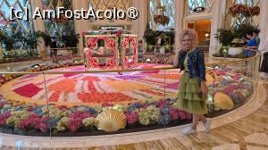 [P17]  -- <small>// FĂRĂ DESCRIERE</small> » foto by geani anto
 - 
<span class="allrVoted glyphicon glyphicon-heart hidden" id="av1524623"></span>
<a class="m-l-10 hidden" id="sv1524623" onclick="voting_Foto_DelVot(,1524623,11464)" role="button">șterge vot <span class="glyphicon glyphicon-remove"></span></a>
<a id="v91524623" class=" c-red"  onclick="voting_Foto_SetVot(1524623)" role="button"><span class="glyphicon glyphicon-heart-empty"></span> <b>LIKE</b> = Votează poza</a> <img class="hidden"  id="f1524623W9" src="/imagini/loader.gif" border="0" /><span class="AjErrMes hidden" id="e1524623ErM"></span>