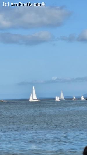 [P13] tot felul de ambarcașiuni » foto by robert
 - 
<span class="allrVoted glyphicon glyphicon-heart hidden" id="av1525317"></span>
<a class="m-l-10 hidden" id="sv1525317" onclick="voting_Foto_DelVot(,1525317,11494)" role="button">șterge vot <span class="glyphicon glyphicon-remove"></span></a>
<a id="v91525317" class=" c-red"  onclick="voting_Foto_SetVot(1525317)" role="button"><span class="glyphicon glyphicon-heart-empty"></span> <b>LIKE</b> = Votează poza</a> <img class="hidden"  id="f1525317W9" src="/imagini/loader.gif" border="0" /><span class="AjErrMes hidden" id="e1525317ErM"></span>