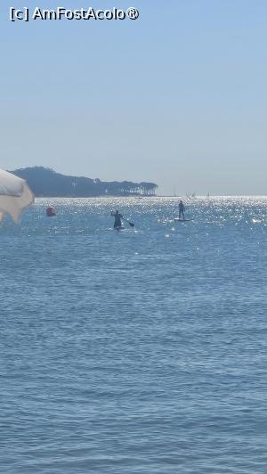 [P16] cu padel pe apă » foto by robert
 - 
<span class="allrVoted glyphicon glyphicon-heart hidden" id="av1525320"></span>
<a class="m-l-10 hidden" id="sv1525320" onclick="voting_Foto_DelVot(,1525320,11494)" role="button">șterge vot <span class="glyphicon glyphicon-remove"></span></a>
<a id="v91525320" class=" c-red"  onclick="voting_Foto_SetVot(1525320)" role="button"><span class="glyphicon glyphicon-heart-empty"></span> <b>LIKE</b> = Votează poza</a> <img class="hidden"  id="f1525320W9" src="/imagini/loader.gif" border="0" /><span class="AjErrMes hidden" id="e1525320ErM"></span>