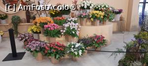 [P15] Grădinile Keukenhof, Pavilionul Oranje Nassau, superbe flori » foto by mprofeanu
 - 
<span class="allrVoted glyphicon glyphicon-heart hidden" id="av1481575"></span>
<a class="m-l-10 hidden" id="sv1481575" onclick="voting_Foto_DelVot(,1481575,11516)" role="button">șterge vot <span class="glyphicon glyphicon-remove"></span></a>
<a id="v91481575" class=" c-red"  onclick="voting_Foto_SetVot(1481575)" role="button"><span class="glyphicon glyphicon-heart-empty"></span> <b>LIKE</b> = Votează poza</a> <img class="hidden"  id="f1481575W9" src="/imagini/loader.gif" border="0" /><span class="AjErrMes hidden" id="e1481575ErM"></span>