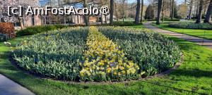 [P17] Grădinile Keukenhof, Rond cu lalele aproape de Pavilionul Willem-Alexander, se vede puțin... » foto by mprofeanu
 - 
<span class="allrVoted glyphicon glyphicon-heart hidden" id="av1481577"></span>
<a class="m-l-10 hidden" id="sv1481577" onclick="voting_Foto_DelVot(,1481577,11516)" role="button">șterge vot <span class="glyphicon glyphicon-remove"></span></a>
<a id="v91481577" class=" c-red"  onclick="voting_Foto_SetVot(1481577)" role="button"><span class="glyphicon glyphicon-heart-empty"></span> <b>LIKE</b> = Votează poza</a> <img class="hidden"  id="f1481577W9" src="/imagini/loader.gif" border="0" /><span class="AjErrMes hidden" id="e1481577ErM"></span>