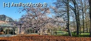 [P18] Grădinile Keukenhof, Rond cu lalele aproape de Pavilionul Willem-Alexander, se vede puțin... » foto by mprofeanu
 - 
<span class="allrVoted glyphicon glyphicon-heart hidden" id="av1481578"></span>
<a class="m-l-10 hidden" id="sv1481578" onclick="voting_Foto_DelVot(,1481578,11516)" role="button">șterge vot <span class="glyphicon glyphicon-remove"></span></a>
<a id="v91481578" class=" c-red"  onclick="voting_Foto_SetVot(1481578)" role="button"><span class="glyphicon glyphicon-heart-empty"></span> <b>LIKE</b> = Votează poza</a> <img class="hidden"  id="f1481578W9" src="/imagini/loader.gif" border="0" /><span class="AjErrMes hidden" id="e1481578ErM"></span>