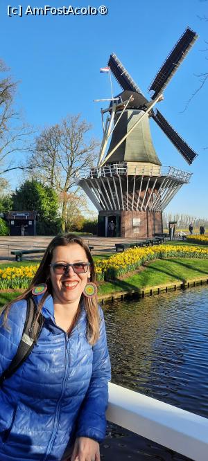 [P30] Grădinile Keukenhof, Moara de vânt și un frumos pod ca cele din Amsterdam și Harleem » foto by mprofeanu
 - 
<span class="allrVoted glyphicon glyphicon-heart hidden" id="av1481590"></span>
<a class="m-l-10 hidden" id="sv1481590" onclick="voting_Foto_DelVot(,1481590,11516)" role="button">șterge vot <span class="glyphicon glyphicon-remove"></span></a>
<a id="v91481590" class=" c-red"  onclick="voting_Foto_SetVot(1481590)" role="button"><span class="glyphicon glyphicon-heart-empty"></span> <b>LIKE</b> = Votează poza</a> <img class="hidden"  id="f1481590W9" src="/imagini/loader.gif" border="0" /><span class="AjErrMes hidden" id="e1481590ErM"></span>