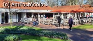 [P55] Grădinile Keukenhof, Pavilionul Wilhelmina » foto by mprofeanu
 - 
<span class="allrVoted glyphicon glyphicon-heart hidden" id="av1481615"></span>
<a class="m-l-10 hidden" id="sv1481615" onclick="voting_Foto_DelVot(,1481615,11516)" role="button">șterge vot <span class="glyphicon glyphicon-remove"></span></a>
<a id="v91481615" class=" c-red"  onclick="voting_Foto_SetVot(1481615)" role="button"><span class="glyphicon glyphicon-heart-empty"></span> <b>LIKE</b> = Votează poza</a> <img class="hidden"  id="f1481615W9" src="/imagini/loader.gif" border="0" /><span class="AjErrMes hidden" id="e1481615ErM"></span>