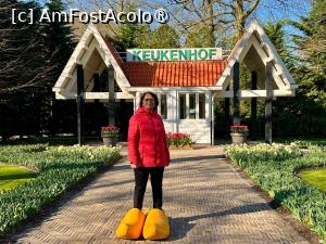 [P56] Grădinile Keukenhof, Lângă Pavilionul Wilhelmina, Am Fost Acolo » foto by mprofeanu
 - 
<span class="allrVoted glyphicon glyphicon-heart hidden" id="av1481616"></span>
<a class="m-l-10 hidden" id="sv1481616" onclick="voting_Foto_DelVot(,1481616,11516)" role="button">șterge vot <span class="glyphicon glyphicon-remove"></span></a>
<a id="v91481616" class=" c-red"  onclick="voting_Foto_SetVot(1481616)" role="button"><span class="glyphicon glyphicon-heart-empty"></span> <b>LIKE</b> = Votează poza</a> <img class="hidden"  id="f1481616W9" src="/imagini/loader.gif" border="0" /><span class="AjErrMes hidden" id="e1481616ErM"></span>