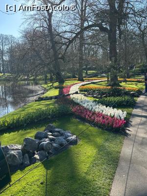 [P60] Grădinile Keukenhof, Pe lângă iaz » foto by mprofeanu
 - 
<span class="allrVoted glyphicon glyphicon-heart hidden" id="av1481620"></span>
<a class="m-l-10 hidden" id="sv1481620" onclick="voting_Foto_DelVot(,1481620,11516)" role="button">șterge vot <span class="glyphicon glyphicon-remove"></span></a>
<a id="v91481620" class=" c-red"  onclick="voting_Foto_SetVot(1481620)" role="button"><span class="glyphicon glyphicon-heart-empty"></span> <b>LIKE</b> = Votează poza</a> <img class="hidden"  id="f1481620W9" src="/imagini/loader.gif" border="0" /><span class="AjErrMes hidden" id="e1481620ErM"></span>