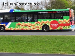 [P38] Bus 858 Keukenhof Express - decorat, cum altfel, cu lalele » foto by BOGDAN DSN
 - 
<span class="allrVoted glyphicon glyphicon-heart hidden" id="av855901"></span>
<a class="m-l-10 hidden" id="sv855901" onclick="voting_Foto_DelVot(,855901,11516)" role="button">șterge vot <span class="glyphicon glyphicon-remove"></span></a>
<a id="v9855901" class=" c-red"  onclick="voting_Foto_SetVot(855901)" role="button"><span class="glyphicon glyphicon-heart-empty"></span> <b>LIKE</b> = Votează poza</a> <img class="hidden"  id="f855901W9" src="/imagini/loader.gif" border="0" /><span class="AjErrMes hidden" id="e855901ErM"></span>