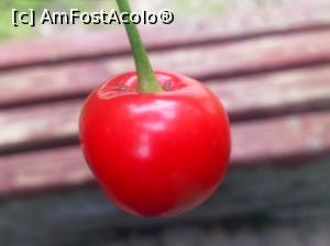 [P33]  -- <small>// FĂRĂ DESCRIERE</small> » foto by georgel
 - 
<span class="allrVoted glyphicon glyphicon-heart hidden" id="av862065"></span>
<a class="m-l-10 hidden" id="sv862065" onclick="voting_Foto_DelVot(,862065,11645)" role="button">șterge vot <span class="glyphicon glyphicon-remove"></span></a>
<a id="v9862065" class=" c-red"  onclick="voting_Foto_SetVot(862065)" role="button"><span class="glyphicon glyphicon-heart-empty"></span> <b>LIKE</b> = Votează poza</a> <img class="hidden"  id="f862065W9" src="/imagini/loader.gif" border="0" /><span class="AjErrMes hidden" id="e862065ErM"></span>