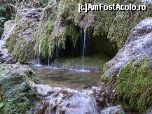 [P08] o piscină naturală » foto by vasilica
 - 
<span class="allrVoted glyphicon glyphicon-heart hidden" id="av376833"></span>
<a class="m-l-10 hidden" id="sv376833" onclick="voting_Foto_DelVot(,376833,11645)" role="button">șterge vot <span class="glyphicon glyphicon-remove"></span></a>
<a id="v9376833" class=" c-red"  onclick="voting_Foto_SetVot(376833)" role="button"><span class="glyphicon glyphicon-heart-empty"></span> <b>LIKE</b> = Votează poza</a> <img class="hidden"  id="f376833W9" src="/imagini/loader.gif" border="0" /><span class="AjErrMes hidden" id="e376833ErM"></span>