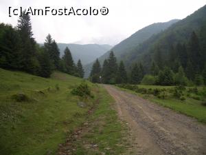 P11 [JUL-2017] Valea Moașei-drumul forestier cât de cât amenajat
