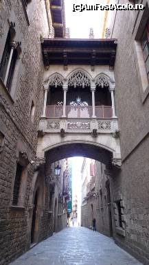 [P11] 8. Podul neogotic de pe carrer del Bisbe, construit abia in 1929, intre Palau de la Generalitat si Cases dels Canonges » foto by nickro
 - 
<span class="allrVoted glyphicon glyphicon-heart hidden" id="av318519"></span>
<a class="m-l-10 hidden" id="sv318519" onclick="voting_Foto_DelVot(,318519,11797)" role="button">șterge vot <span class="glyphicon glyphicon-remove"></span></a>
<a id="v9318519" class=" c-red"  onclick="voting_Foto_SetVot(318519)" role="button"><span class="glyphicon glyphicon-heart-empty"></span> <b>LIKE</b> = Votează poza</a> <img class="hidden"  id="f318519W9" src="/imagini/loader.gif" border="0" /><span class="AjErrMes hidden" id="e318519ErM"></span>