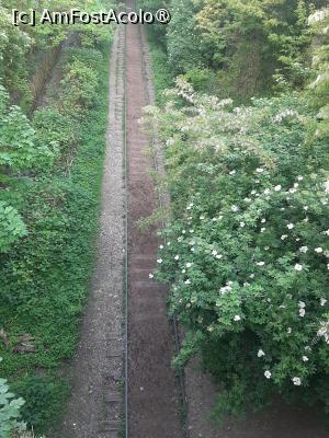 [P11] La Petite Ceinture » foto by adso
 - 
<span class="allrVoted glyphicon glyphicon-heart hidden" id="av1548921"></span>
<a class="m-l-10 hidden" id="sv1548921" onclick="voting_Foto_DelVot(,1548921,11886)" role="button">șterge vot <span class="glyphicon glyphicon-remove"></span></a>
<a id="v91548921" class=" c-red"  onclick="voting_Foto_SetVot(1548921)" role="button"><span class="glyphicon glyphicon-heart-empty"></span> <b>LIKE</b> = Votează poza</a> <img class="hidden"  id="f1548921W9" src="/imagini/loader.gif" border="0" /><span class="AjErrMes hidden" id="e1548921ErM"></span>