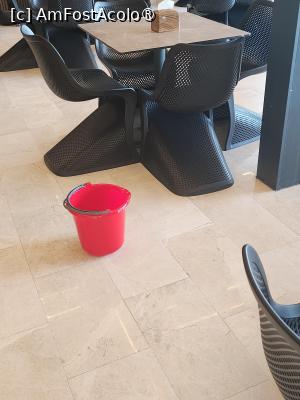 [P02] Galeti pentru apa care siroia din tavan la restaurantul Medusa Complex Steaua de Mare » foto by FloMun
 - 
<span class="allrVoted glyphicon glyphicon-heart hidden" id="av1531729"></span>
<a class="m-l-10 hidden" id="sv1531729" onclick="voting_Foto_DelVot(,1531729,12003)" role="button">șterge vot <span class="glyphicon glyphicon-remove"></span></a>
<a id="v91531729" class=" c-red"  onclick="voting_Foto_SetVot(1531729)" role="button"><span class="glyphicon glyphicon-heart-empty"></span> <b>LIKE</b> = Votează poza</a> <img class="hidden"  id="f1531729W9" src="/imagini/loader.gif" border="0" /><span class="AjErrMes hidden" id="e1531729ErM"></span>