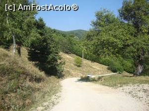 [P35] Coborâm către pădure și continuăm drumul pe la umbră spre locul unde lăsasem mașina.  » foto by Floryn81
 - 
<span class="allrVoted glyphicon glyphicon-heart hidden" id="av739603"></span>
<a class="m-l-10 hidden" id="sv739603" onclick="voting_Foto_DelVot(,739603,12025)" role="button">șterge vot <span class="glyphicon glyphicon-remove"></span></a>
<a id="v9739603" class=" c-red"  onclick="voting_Foto_SetVot(739603)" role="button"><span class="glyphicon glyphicon-heart-empty"></span> <b>LIKE</b> = Votează poza</a> <img class="hidden"  id="f739603W9" src="/imagini/loader.gif" border="0" /><span class="AjErrMes hidden" id="e739603ErM"></span>