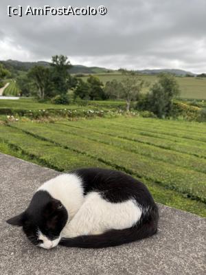 [P02]  -- <small>// FĂRĂ DESCRIERE</small> » foto by ux127085
 - 
<span class="allrVoted glyphicon glyphicon-heart hidden" id="av1499268"></span>
<a class="m-l-10 hidden" id="sv1499268" onclick="voting_Foto_DelVot(,1499268,12102)" role="button">șterge vot <span class="glyphicon glyphicon-remove"></span></a>
<a id="v91499268" class=" c-red"  onclick="voting_Foto_SetVot(1499268)" role="button"><span class="glyphicon glyphicon-heart-empty"></span> <b>LIKE</b> = Votează poza</a> <img class="hidden"  id="f1499268W9" src="/imagini/loader.gif" border="0" /><span class="AjErrMes hidden" id="e1499268ErM"></span>