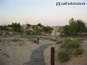 [P07] ..... spre plaja printre dune.....  » foto by rigoberto
 - 
<span class="allrVoted glyphicon glyphicon-heart hidden" id="av346588"></span>
<a class="m-l-10 hidden" id="sv346588" onclick="voting_Foto_DelVot(,346588,12154)" role="button">șterge vot <span class="glyphicon glyphicon-remove"></span></a>
<a id="v9346588" class=" c-red"  onclick="voting_Foto_SetVot(346588)" role="button"><span class="glyphicon glyphicon-heart-empty"></span> <b>LIKE</b> = Votează poza</a> <img class="hidden"  id="f346588W9" src="/imagini/loader.gif" border="0" /><span class="AjErrMes hidden" id="e346588ErM"></span>