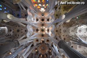 [P45] Sagrada Familia, coloanele inspirate dupa modelul arborilor Sequia » foto by Muffin2009
 - 
<span class="allrVoted glyphicon glyphicon-heart hidden" id="av352223"></span>
<a class="m-l-10 hidden" id="sv352223" onclick="voting_Foto_DelVot(,352223,12198)" role="button">șterge vot <span class="glyphicon glyphicon-remove"></span></a>
<a id="v9352223" class=" c-red"  onclick="voting_Foto_SetVot(352223)" role="button"><span class="glyphicon glyphicon-heart-empty"></span> <b>LIKE</b> = Votează poza</a> <img class="hidden"  id="f352223W9" src="/imagini/loader.gif" border="0" /><span class="AjErrMes hidden" id="e352223ErM"></span>