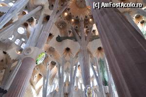 [P49] Sagrada Familia, coloanele inspirate dupa arborii Sequia » foto by Muffin2009
 - 
<span class="allrVoted glyphicon glyphicon-heart hidden" id="av352231"></span>
<a class="m-l-10 hidden" id="sv352231" onclick="voting_Foto_DelVot(,352231,12198)" role="button">șterge vot <span class="glyphicon glyphicon-remove"></span></a>
<a id="v9352231" class=" c-red"  onclick="voting_Foto_SetVot(352231)" role="button"><span class="glyphicon glyphicon-heart-empty"></span> <b>LIKE</b> = Votează poza</a> <img class="hidden"  id="f352231W9" src="/imagini/loader.gif" border="0" /><span class="AjErrMes hidden" id="e352231ErM"></span>