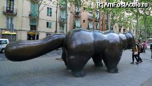 [P142] 139. Pisica lui Botero - Rambla del Raval » foto by nickro
 - 
<span class="allrVoted glyphicon glyphicon-heart hidden" id="av340074"></span>
<a class="m-l-10 hidden" id="sv340074" onclick="voting_Foto_DelVot(,340074,12198)" role="button">șterge vot <span class="glyphicon glyphicon-remove"></span></a>
<a id="v9340074" class=" c-red"  onclick="voting_Foto_SetVot(340074)" role="button"><span class="glyphicon glyphicon-heart-empty"></span> <b>LIKE</b> = Votează poza</a> <img class="hidden"  id="f340074W9" src="/imagini/loader.gif" border="0" /><span class="AjErrMes hidden" id="e340074ErM"></span>