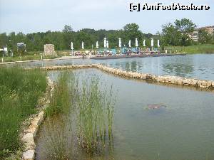 P39 [JUN-2014] Lacul si piscina ecologica! 