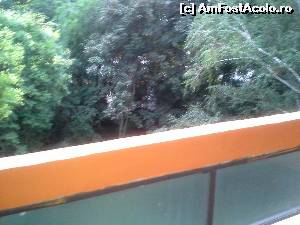 [P02] vedere din balcon » foto by ariella
 - 
<span class="allrVoted glyphicon glyphicon-heart hidden" id="av541168"></span>
<a class="m-l-10 hidden" id="sv541168" onclick="voting_Foto_DelVot(,541168,12264)" role="button">șterge vot <span class="glyphicon glyphicon-remove"></span></a>
<a id="v9541168" class=" c-red"  onclick="voting_Foto_SetVot(541168)" role="button"><span class="glyphicon glyphicon-heart-empty"></span> <b>LIKE</b> = Votează poza</a> <img class="hidden"  id="f541168W9" src="/imagini/loader.gif" border="0" /><span class="AjErrMes hidden" id="e541168ErM"></span>