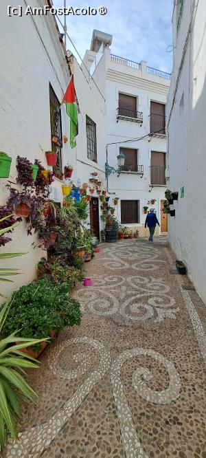 [P73] Calle Pintado » foto by irinad
 - 
<span class="allrVoted glyphicon glyphicon-heart hidden" id="av1518006"></span>
<a class="m-l-10 hidden" id="sv1518006" onclick="voting_Foto_DelVot(,1518006,12323)" role="button">șterge vot <span class="glyphicon glyphicon-remove"></span></a>
<a id="v91518006" class=" c-red"  onclick="voting_Foto_SetVot(1518006)" role="button"><span class="glyphicon glyphicon-heart-empty"></span> <b>LIKE</b> = Votează poza</a> <img class="hidden"  id="f1518006W9" src="/imagini/loader.gif" border="0" /><span class="AjErrMes hidden" id="e1518006ErM"></span>