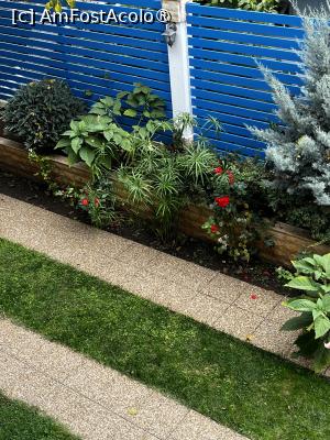 [P18]  -- <small>// FĂRĂ DESCRIERE</small> » foto by raluca banu
 - 
<span class="allrVoted glyphicon glyphicon-heart hidden" id="av1514275"></span>
<a class="m-l-10 hidden" id="sv1514275" onclick="voting_Foto_DelVot(,1514275,12455)" role="button">șterge vot <span class="glyphicon glyphicon-remove"></span></a>
<a id="v91514275" class=" c-red"  onclick="voting_Foto_SetVot(1514275)" role="button"><span class="glyphicon glyphicon-heart-empty"></span> <b>LIKE</b> = Votează poza</a> <img class="hidden"  id="f1514275W9" src="/imagini/loader.gif" border="0" /><span class="AjErrMes hidden" id="e1514275ErM"></span>