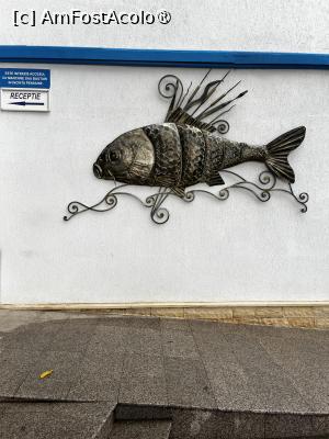 [P02]  -- <small>// FĂRĂ DESCRIERE</small> » foto by raluca banu
 - 
<span class="allrVoted glyphicon glyphicon-heart hidden" id="av1514259"></span>
<a class="m-l-10 hidden" id="sv1514259" onclick="voting_Foto_DelVot(,1514259,12455)" role="button">șterge vot <span class="glyphicon glyphicon-remove"></span></a>
<a id="v91514259" class=" c-red"  onclick="voting_Foto_SetVot(1514259)" role="button"><span class="glyphicon glyphicon-heart-empty"></span> <b>LIKE</b> = Votează poza</a> <img class="hidden"  id="f1514259W9" src="/imagini/loader.gif" border="0" /><span class="AjErrMes hidden" id="e1514259ErM"></span>