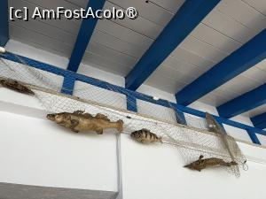 [P22]  -- <small>// FĂRĂ DESCRIERE</small> » foto by raluca banu
 - 
<span class="allrVoted glyphicon glyphicon-heart hidden" id="av1514279"></span>
<a class="m-l-10 hidden" id="sv1514279" onclick="voting_Foto_DelVot(,1514279,12455)" role="button">șterge vot <span class="glyphicon glyphicon-remove"></span></a>
<a id="v91514279" class=" c-red"  onclick="voting_Foto_SetVot(1514279)" role="button"><span class="glyphicon glyphicon-heart-empty"></span> <b>LIKE</b> = Votează poza</a> <img class="hidden"  id="f1514279W9" src="/imagini/loader.gif" border="0" /><span class="AjErrMes hidden" id="e1514279ErM"></span>