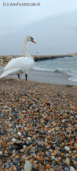 [P04] Am rezistat iernii... » foto by tata123 🔱
 - 
<span class="allrVoted glyphicon glyphicon-heart hidden" id="av1522289"></span>
<a class="m-l-10 hidden" id="sv1522289" onclick="voting_Foto_DelVot(,1522289,12565)" role="button">șterge vot <span class="glyphicon glyphicon-remove"></span></a>
<a id="v91522289" class=" c-red"  onclick="voting_Foto_SetVot(1522289)" role="button"><span class="glyphicon glyphicon-heart-empty"></span> <b>LIKE</b> = Votează poza</a> <img class="hidden"  id="f1522289W9" src="/imagini/loader.gif" border="0" /><span class="AjErrMes hidden" id="e1522289ErM"></span>