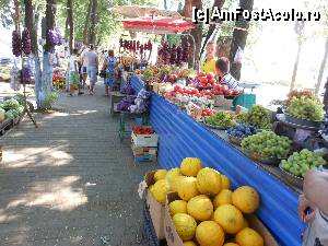 [P27] Piata de legume si fructe amenajata in camp, intre Odesa si Zatoka.  » foto by iulianic
 - 
<span class="allrVoted glyphicon glyphicon-heart hidden" id="av359010"></span>
<a class="m-l-10 hidden" id="sv359010" onclick="voting_Foto_DelVot(,359010,12581)" role="button">șterge vot <span class="glyphicon glyphicon-remove"></span></a>
<a id="v9359010" class=" c-red"  onclick="voting_Foto_SetVot(359010)" role="button"><span class="glyphicon glyphicon-heart-empty"></span> <b>LIKE</b> = Votează poza</a> <img class="hidden"  id="f359010W9" src="/imagini/loader.gif" border="0" /><span class="AjErrMes hidden" id="e359010ErM"></span>