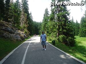 P17 [JUL-2012] 'Drumul prin Muntenegru' / aleea de la poarta la lac