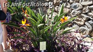 [P59] O zi şi o noapte în La Gomera - Molino de Gofio » foto by nicole33
 - 
<span class="allrVoted glyphicon glyphicon-heart hidden" id="av846624"></span>
<a class="m-l-10 hidden" id="sv846624" onclick="voting_Foto_DelVot(,846624,12735)" role="button">șterge vot <span class="glyphicon glyphicon-remove"></span></a>
<a id="v9846624" class=" c-red"  onclick="voting_Foto_SetVot(846624)" role="button"><span class="glyphicon glyphicon-heart-empty"></span> <b>LIKE</b> = Votează poza</a> <img class="hidden"  id="f846624W9" src="/imagini/loader.gif" border="0" /><span class="AjErrMes hidden" id="e846624ErM"></span>