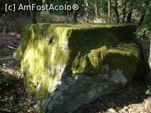 [P02] altar de sacrificii sau ofrande » foto by buterfly*
 - 
<span class="allrVoted glyphicon glyphicon-heart hidden" id="av856898"></span>
<a class="m-l-10 hidden" id="sv856898" onclick="voting_Foto_DelVot(,856898,12753)" role="button">șterge vot <span class="glyphicon glyphicon-remove"></span></a>
<a id="v9856898" class=" c-red"  onclick="voting_Foto_SetVot(856898)" role="button"><span class="glyphicon glyphicon-heart-empty"></span> <b>LIKE</b> = Votează poza</a> <img class="hidden"  id="f856898W9" src="/imagini/loader.gif" border="0" /><span class="AjErrMes hidden" id="e856898ErM"></span>