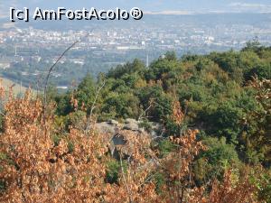 [P07] de jur imprejur padurea este plina de megaliti si situri arheologice interesante » foto by buterfly*
 - 
<span class="allrVoted glyphicon glyphicon-heart hidden" id="av856903"></span>
<a class="m-l-10 hidden" id="sv856903" onclick="voting_Foto_DelVot(,856903,12753)" role="button">șterge vot <span class="glyphicon glyphicon-remove"></span></a>
<a id="v9856903" class=" c-red"  onclick="voting_Foto_SetVot(856903)" role="button"><span class="glyphicon glyphicon-heart-empty"></span> <b>LIKE</b> = Votează poza</a> <img class="hidden"  id="f856903W9" src="/imagini/loader.gif" border="0" /><span class="AjErrMes hidden" id="e856903ErM"></span>