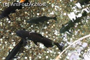 [P01]  -- <small>// FĂRĂ DESCRIERE</small> » foto by mont
 - 
<span class="allrVoted glyphicon glyphicon-heart hidden" id="av1511749"></span>
<a class="m-l-10 hidden" id="sv1511749" onclick="voting_Foto_DelVot(,1511749,12774)" role="button">șterge vot <span class="glyphicon glyphicon-remove"></span></a>
<a id="v91511749" class=" c-red"  onclick="voting_Foto_SetVot(1511749)" role="button"><span class="glyphicon glyphicon-heart-empty"></span> <b>LIKE</b> = Votează poza</a> <img class="hidden"  id="f1511749W9" src="/imagini/loader.gif" border="0" /><span class="AjErrMes hidden" id="e1511749ErM"></span>