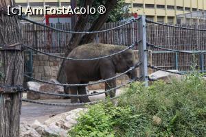 [P18] Micul elefant! » foto by mont
 - 
<span class="allrVoted glyphicon glyphicon-heart hidden" id="av1511766"></span>
<a class="m-l-10 hidden" id="sv1511766" onclick="voting_Foto_DelVot(,1511766,12774)" role="button">șterge vot <span class="glyphicon glyphicon-remove"></span></a>
<a id="v91511766" class=" c-red"  onclick="voting_Foto_SetVot(1511766)" role="button"><span class="glyphicon glyphicon-heart-empty"></span> <b>LIKE</b> = Votează poza</a> <img class="hidden"  id="f1511766W9" src="/imagini/loader.gif" border="0" /><span class="AjErrMes hidden" id="e1511766ErM"></span>