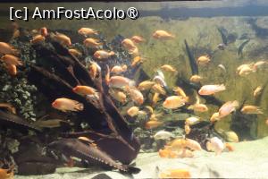 [P35]  -- <small>// FĂRĂ DESCRIERE</small> » foto by mont
 - 
<span class="allrVoted glyphicon glyphicon-heart hidden" id="av1511783"></span>
<a class="m-l-10 hidden" id="sv1511783" onclick="voting_Foto_DelVot(,1511783,12774)" role="button">șterge vot <span class="glyphicon glyphicon-remove"></span></a>
<a id="v91511783" class=" c-red"  onclick="voting_Foto_SetVot(1511783)" role="button"><span class="glyphicon glyphicon-heart-empty"></span> <b>LIKE</b> = Votează poza</a> <img class="hidden"  id="f1511783W9" src="/imagini/loader.gif" border="0" /><span class="AjErrMes hidden" id="e1511783ErM"></span>