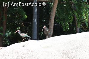 [P39]  -- <small>// FĂRĂ DESCRIERE</small> » foto by mont
 - 
<span class="allrVoted glyphicon glyphicon-heart hidden" id="av1511787"></span>
<a class="m-l-10 hidden" id="sv1511787" onclick="voting_Foto_DelVot(,1511787,12774)" role="button">șterge vot <span class="glyphicon glyphicon-remove"></span></a>
<a id="v91511787" class=" c-red"  onclick="voting_Foto_SetVot(1511787)" role="button"><span class="glyphicon glyphicon-heart-empty"></span> <b>LIKE</b> = Votează poza</a> <img class="hidden"  id="f1511787W9" src="/imagini/loader.gif" border="0" /><span class="AjErrMes hidden" id="e1511787ErM"></span>