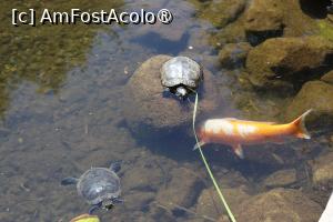 [P40]  -- <small>// FĂRĂ DESCRIERE</small> » foto by mont
 - 
<span class="allrVoted glyphicon glyphicon-heart hidden" id="av1511788"></span>
<a class="m-l-10 hidden" id="sv1511788" onclick="voting_Foto_DelVot(,1511788,12774)" role="button">șterge vot <span class="glyphicon glyphicon-remove"></span></a>
<a id="v91511788" class=" c-red"  onclick="voting_Foto_SetVot(1511788)" role="button"><span class="glyphicon glyphicon-heart-empty"></span> <b>LIKE</b> = Votează poza</a> <img class="hidden"  id="f1511788W9" src="/imagini/loader.gif" border="0" /><span class="AjErrMes hidden" id="e1511788ErM"></span>